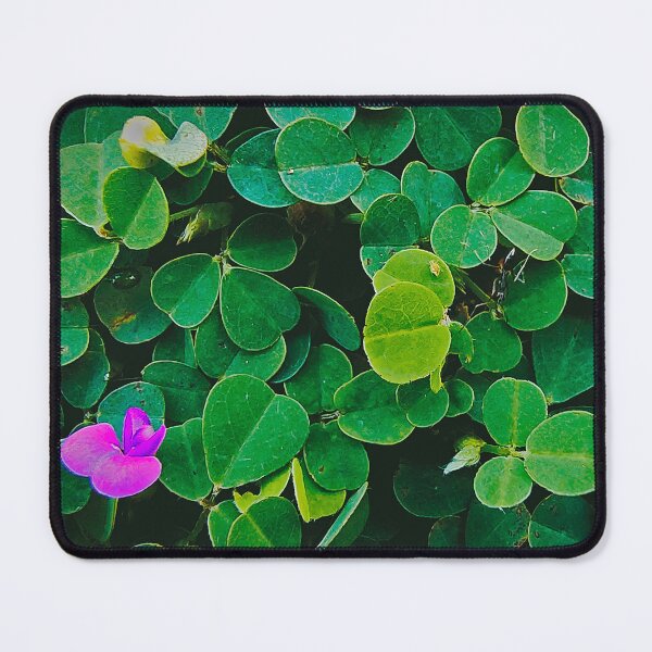 Item preview, Heen Undupiyaliya - Ayurvedic Plants designed and sold by Shopping Dude.