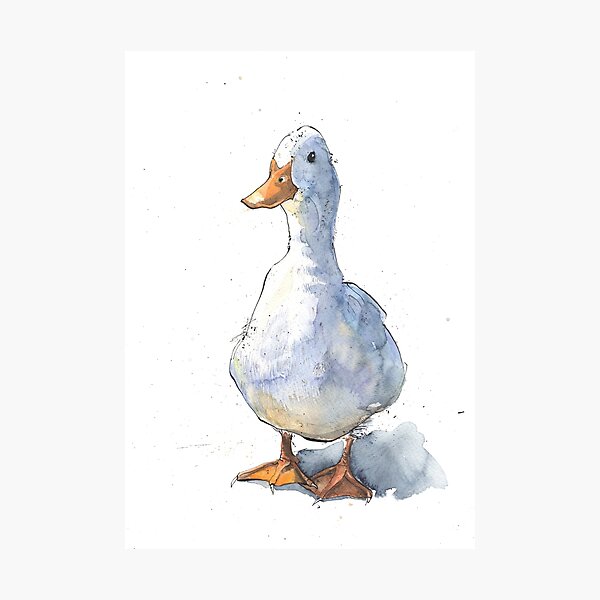 Greetings White Duck! Photographic Print
