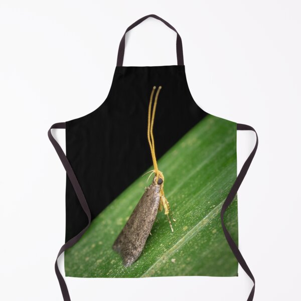 Item preview, A Long-horned Moth (lecithocerids) standing tall and proud designed and sold by AvonPerception.