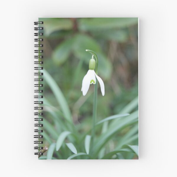 Item preview, Snowdrop designed and sold by kkkkatieartist .