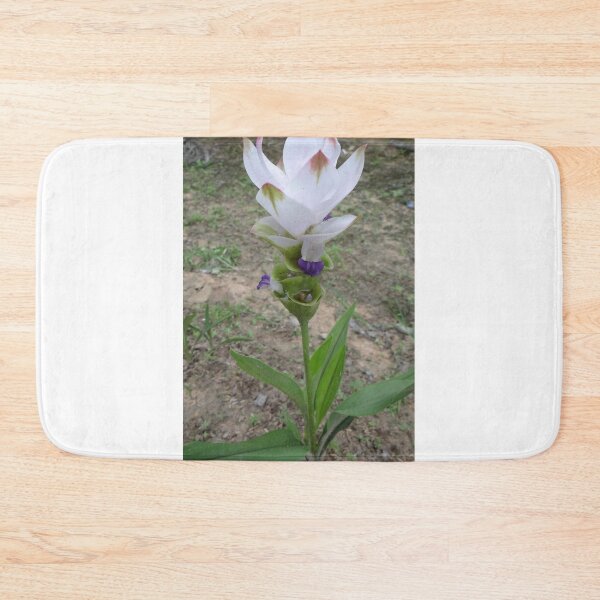 Item preview, Siam tulip is flowering plant, Curcuma sp. of the ginger family no. 41 designed and sold by greengoodnich.
