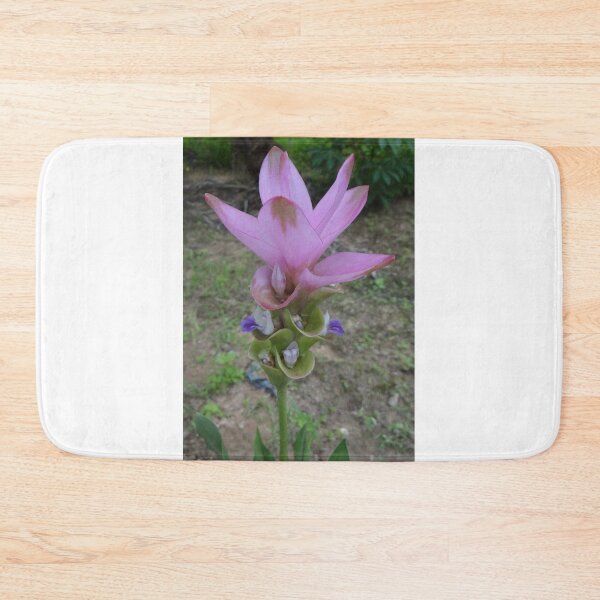Item preview, Siam tulip is flowering plant, Curcuma sp. of the ginger family no. 42 designed and sold by greengoodnich.