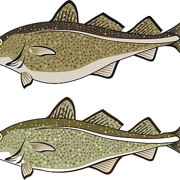 Artwork thumbnail, Cod by vectorworks51