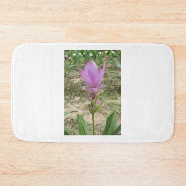 Item preview, Siam tulip is flowering plant, Curcuma sp. of the ginger family no. 43 designed and sold by greengoodnich.