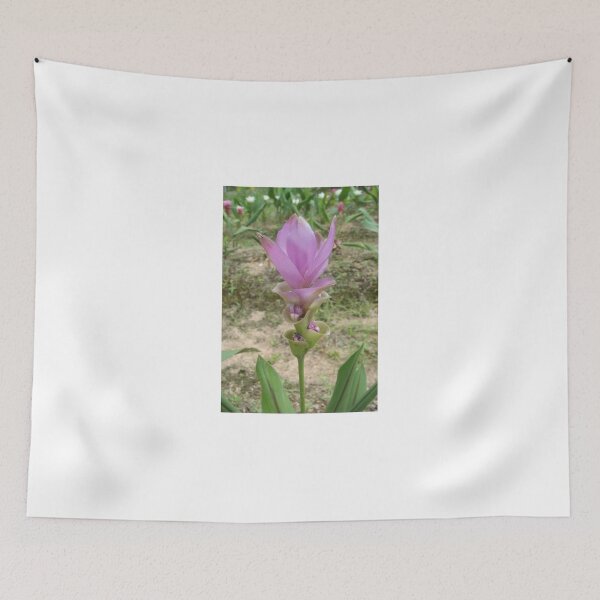 Item preview, Siam tulip is flowering plant, Curcuma sp. of the ginger family no. 43 designed and sold by greengoodnich.