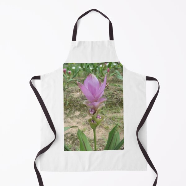Item preview, Siam tulip is flowering plant, Curcuma sp. of the ginger family no. 43 designed and sold by greengoodnich.
