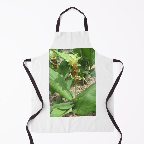 Item preview, Siam tulip is flowering plant, Curcuma sp. of the ginger family no. 44 designed and sold by greengoodnich.
