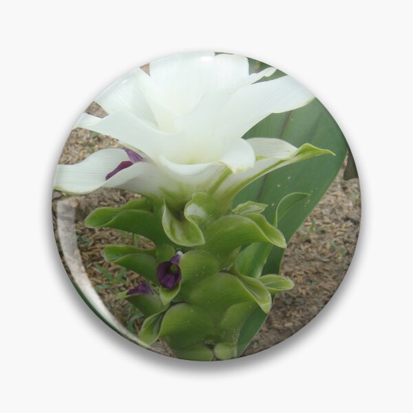 Item preview, Siam tulip is flowering plant, Curcuma sp. of the ginger family no. 45 designed and sold by greengoodnich.