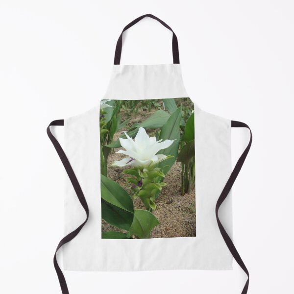 Item preview, Siam tulip is flowering plant, Curcuma sp. of the ginger family no. 45 designed and sold by greengoodnich.