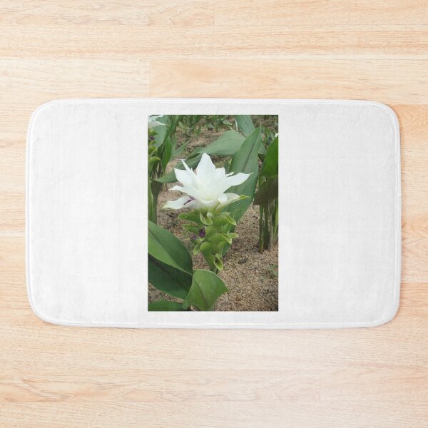 Item preview, Siam tulip is flowering plant, Curcuma sp. of the ginger family no. 45 designed and sold by greengoodnich.