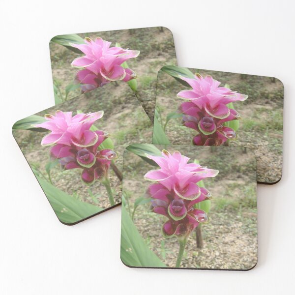 Item preview, Siam tulip is flowering plant, Curcuma sp. of the ginger family no. 46 designed and sold by greengoodnich.