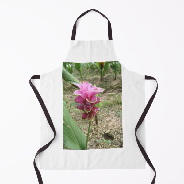 Item preview, Siam tulip is flowering plant, Curcuma sp. of the ginger family no. 46 designed and sold by greengoodnich.