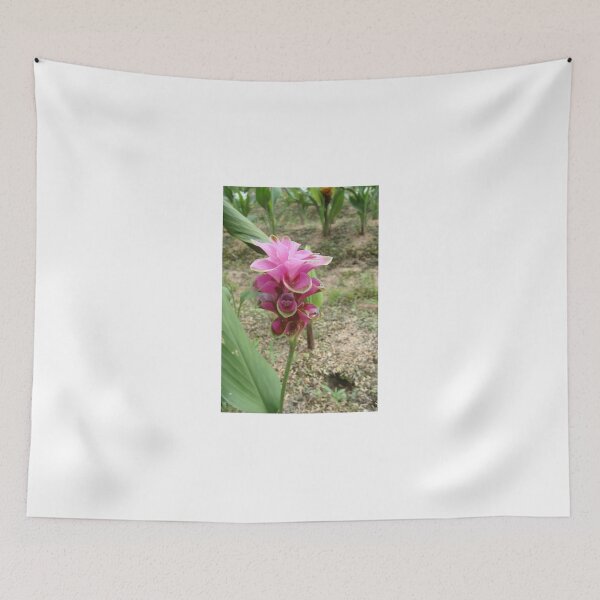 Item preview, Siam tulip is flowering plant, Curcuma sp. of the ginger family no. 46 designed and sold by greengoodnich.