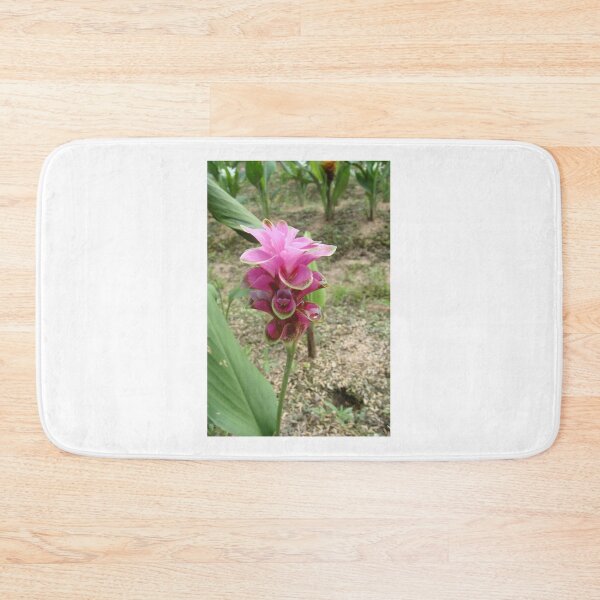 Item preview, Siam tulip is flowering plant, Curcuma sp. of the ginger family no. 46 designed and sold by greengoodnich.