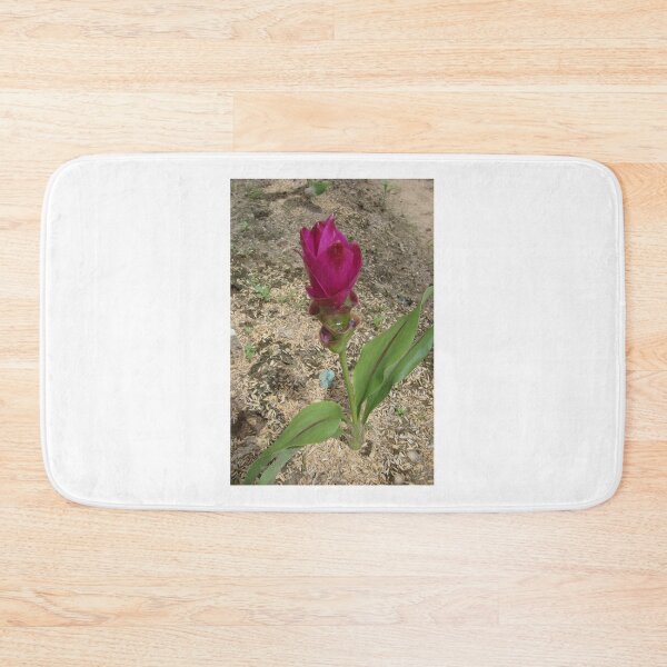 Item preview, Siam tulip is flowering plant, Curcuma sp. of the ginger family no. 47 designed and sold by greengoodnich.