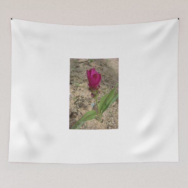 Item preview, Siam tulip is flowering plant, Curcuma sp. of the ginger family no. 47 designed and sold by greengoodnich.
