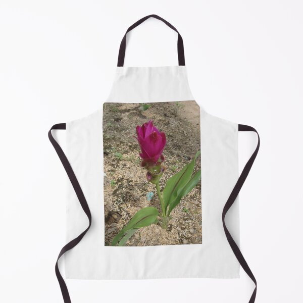 Item preview, Siam tulip is flowering plant, Curcuma sp. of the ginger family no. 47 designed and sold by greengoodnich.