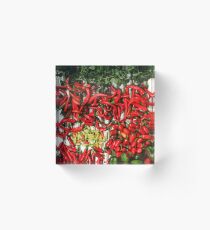 So many chiles... Acrylic Block