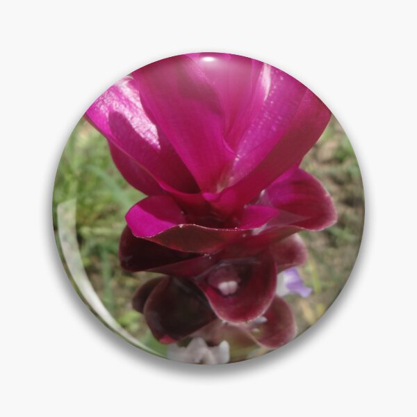 Item preview, Siam tulip is flowering plant, Curcuma sp. of the ginger family no. 48 designed and sold by greengoodnich.