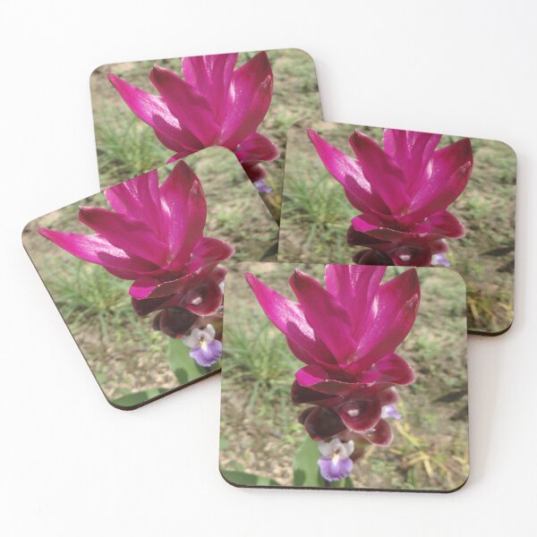 Item preview, Siam tulip is flowering plant, Curcuma sp. of the ginger family no. 48 designed and sold by greengoodnich.