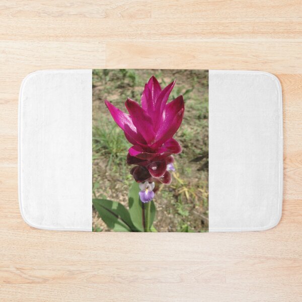 Item preview, Siam tulip is flowering plant, Curcuma sp. of the ginger family no. 48 designed and sold by greengoodnich.