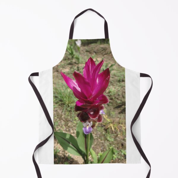 Item preview, Siam tulip is flowering plant, Curcuma sp. of the ginger family no. 48 designed and sold by greengoodnich.