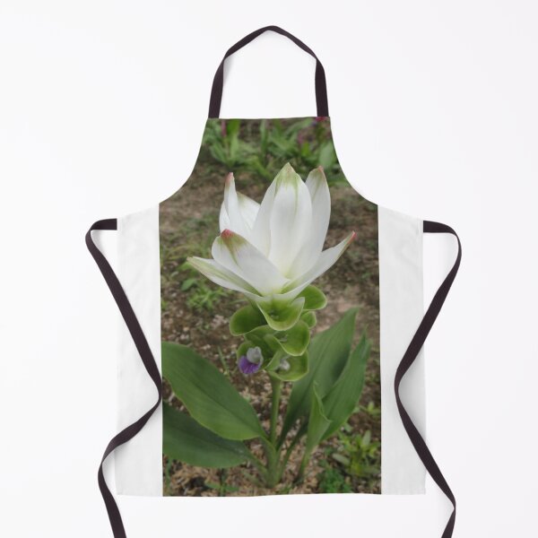 Item preview, Siam tulip is flowering plant, Curcuma sp. of the ginger family no. 49 designed and sold by greengoodnich.