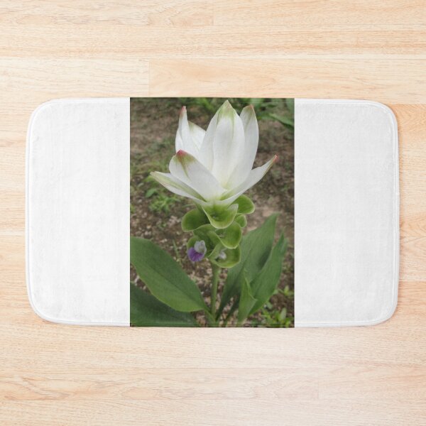 Item preview, Siam tulip is flowering plant, Curcuma sp. of the ginger family no. 49 designed and sold by greengoodnich.