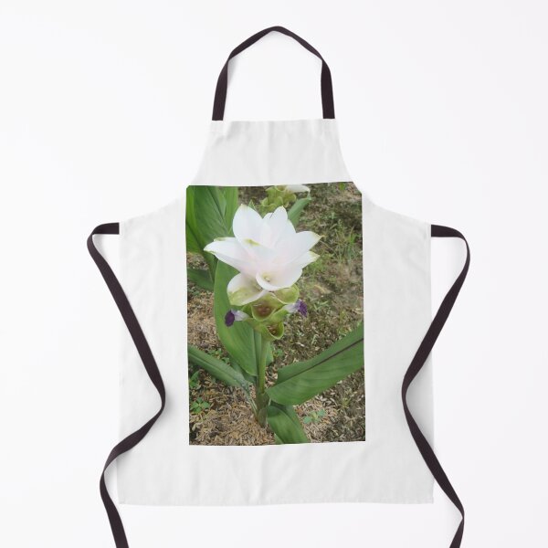Item preview, Siam tulip is flowering plant, Curcuma sp. of the ginger family no. 50 designed and sold by greengoodnich.
