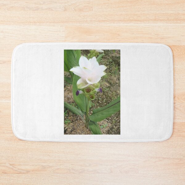 Item preview, Siam tulip is flowering plant, Curcuma sp. of the ginger family no. 50 designed and sold by greengoodnich.