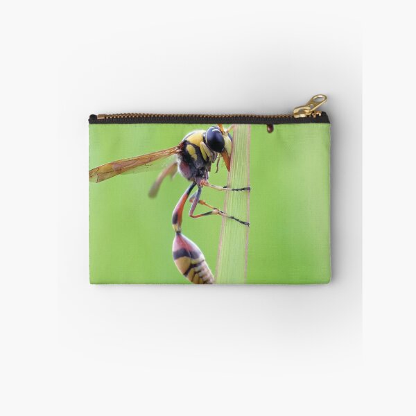 Item preview, Delta Unguiculatum, a species of potter wasp from Europe designed and sold by MyPixelmate.