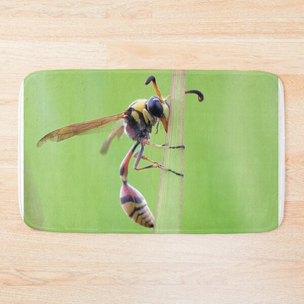 Item preview, Delta Unguiculatum, a species of potter wasp from Europe designed and sold by MyPixelmate.