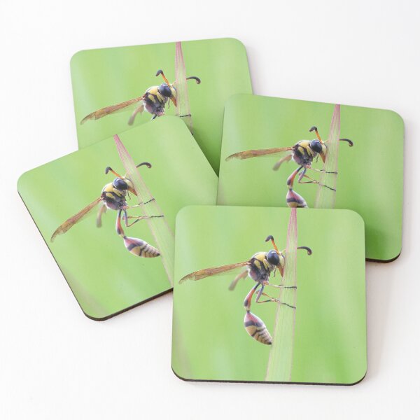 Item preview, Delta Unguiculatum, a species of potter wasp from Europe designed and sold by MyPixelmate.