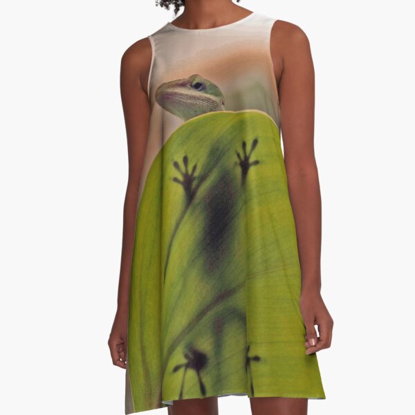 I Spy..... A-Line Dress