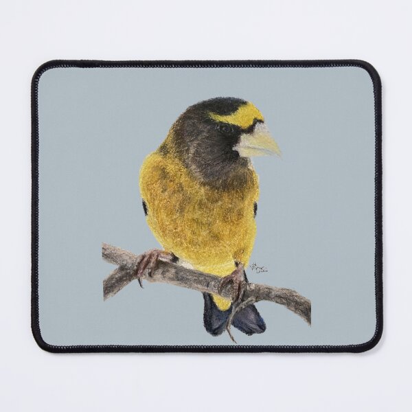 Item preview, Gros Bec Errant yellow bird | animal decor designed and sold by NathBros.