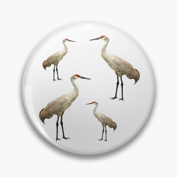 Item preview, Vista View Sandhill Cranes on white designed and sold by VistaViews.