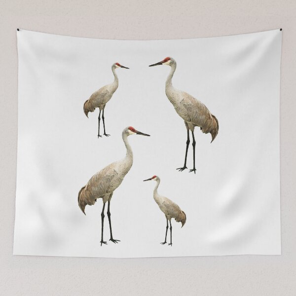 Item preview, Vista View Sandhill Cranes on white designed and sold by VistaViews.