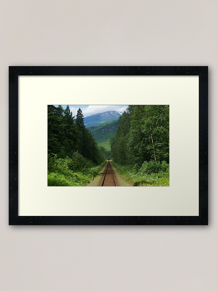 Alternate view of wildflower railway Framed Art Print