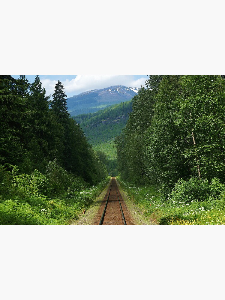 wildflower railway by rogersmith