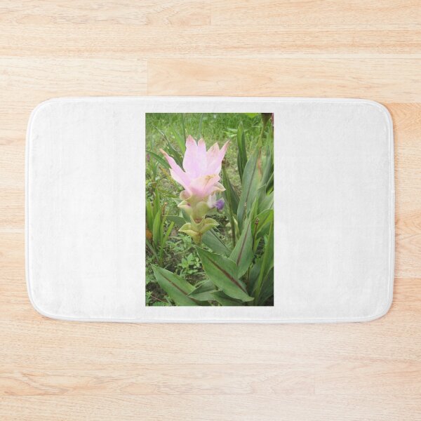 Item preview, Siam tulip is flowering plant, Curcuma sp. of the ginger family no. 51 designed and sold by greengoodnich.