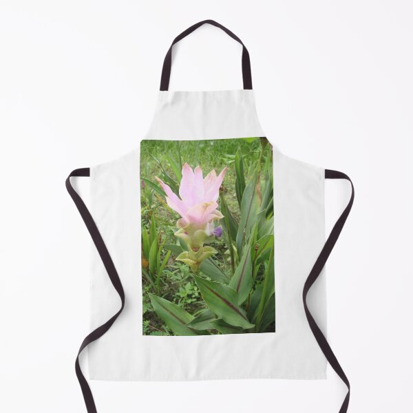 Item preview, Siam tulip is flowering plant, Curcuma sp. of the ginger family no. 51 designed and sold by greengoodnich.