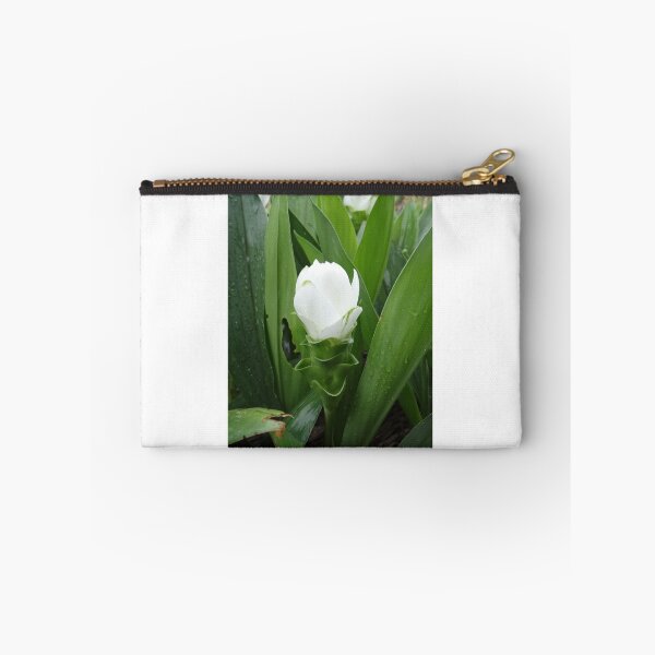 Item preview, Siam tulip is flowering plant, Curcuma sp. of the ginger family no. 52 designed and sold by greengoodnich.