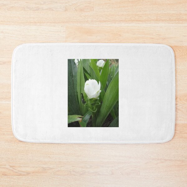 Item preview, Siam tulip is flowering plant, Curcuma sp. of the ginger family no. 52 designed and sold by greengoodnich.