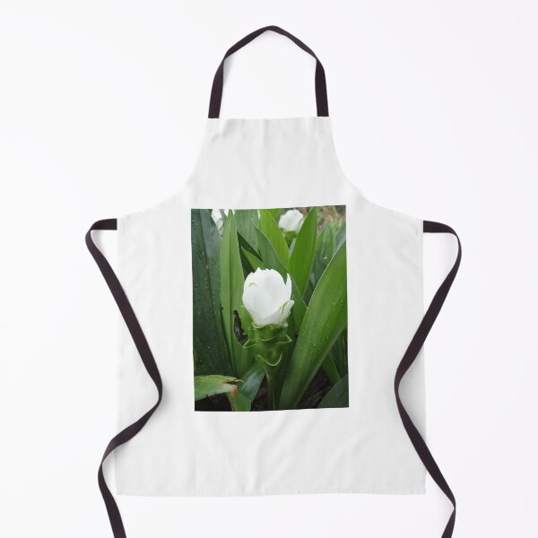 Item preview, Siam tulip is flowering plant, Curcuma sp. of the ginger family no. 52 designed and sold by greengoodnich.