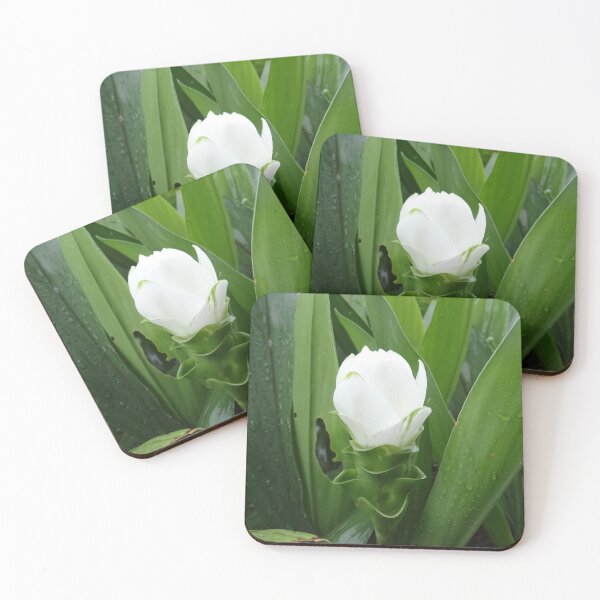 Item preview, Siam tulip is flowering plant, Curcuma sp. of the ginger family no. 52 designed and sold by greengoodnich.