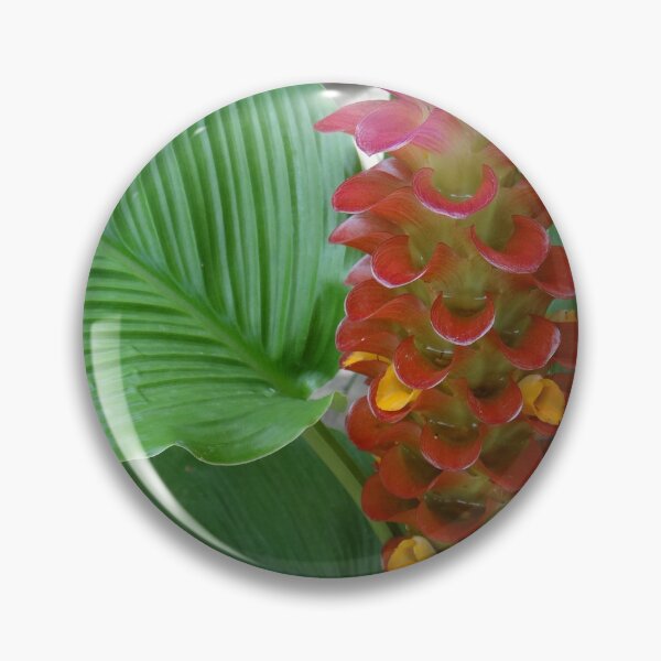 Item preview, Siam tulip is flowering plant, Curcuma sp. of the ginger family no. 53 designed and sold by greengoodnich.