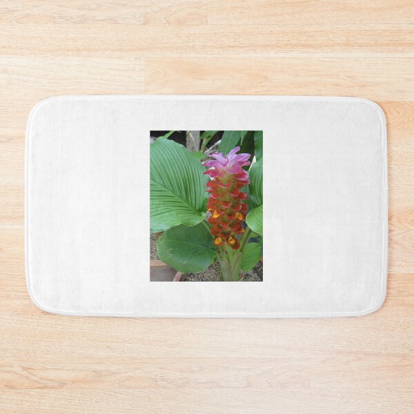 Item preview, Siam tulip is flowering plant, Curcuma sp. of the ginger family no. 53 designed and sold by greengoodnich.
