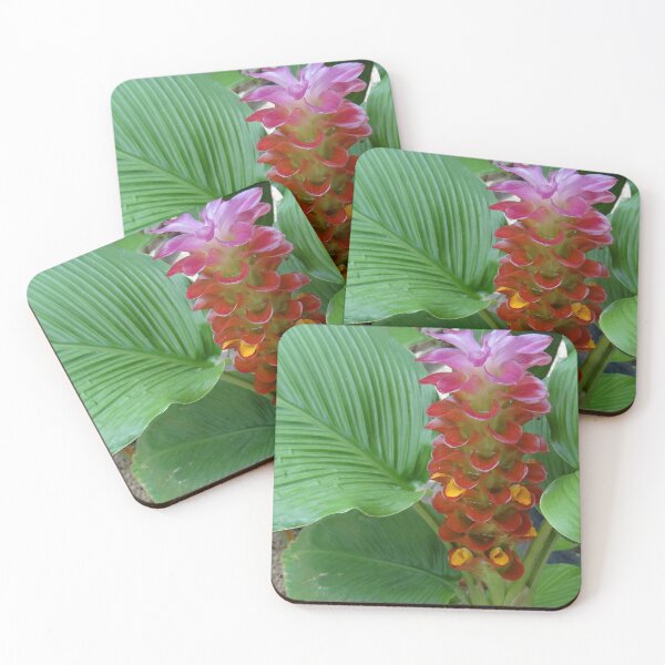 Item preview, Siam tulip is flowering plant, Curcuma sp. of the ginger family no. 53 designed and sold by greengoodnich.