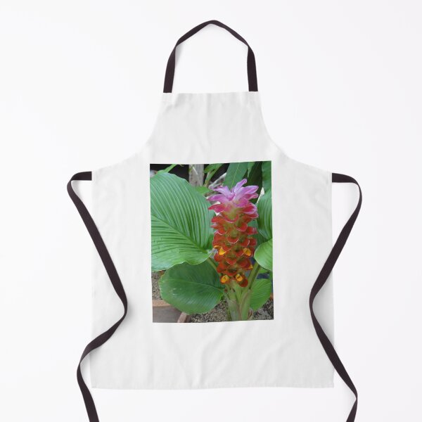Item preview, Siam tulip is flowering plant, Curcuma sp. of the ginger family no. 53 designed and sold by greengoodnich.