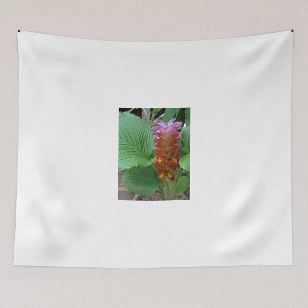 Item preview, Siam tulip is flowering plant, Curcuma sp. of the ginger family no. 53 designed and sold by greengoodnich.
